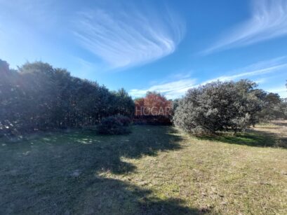 GRAN PARCELA EN DEHESA DE PANCORBO 97