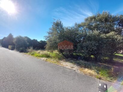 GRAN PARCELA EN DEHESA DE PANCORBO 93