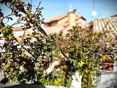 CHALET CON JARDÍN Y PATIO EN SANTA MARÍA DE LA CABEZA
