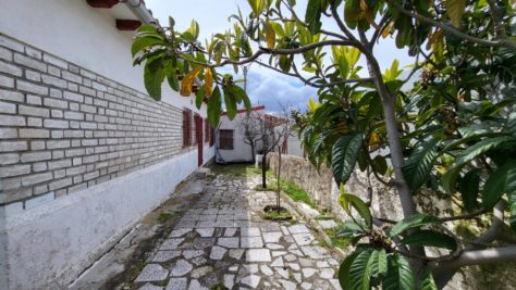 CHALET EN BARRACO EN PARCELA DE 400 MT. 63